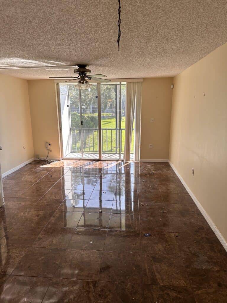 Brandon, FL 33510